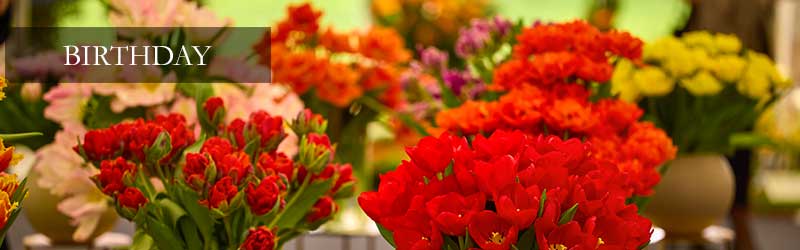 Birthday Flowers, Same-Day Flower Delivery