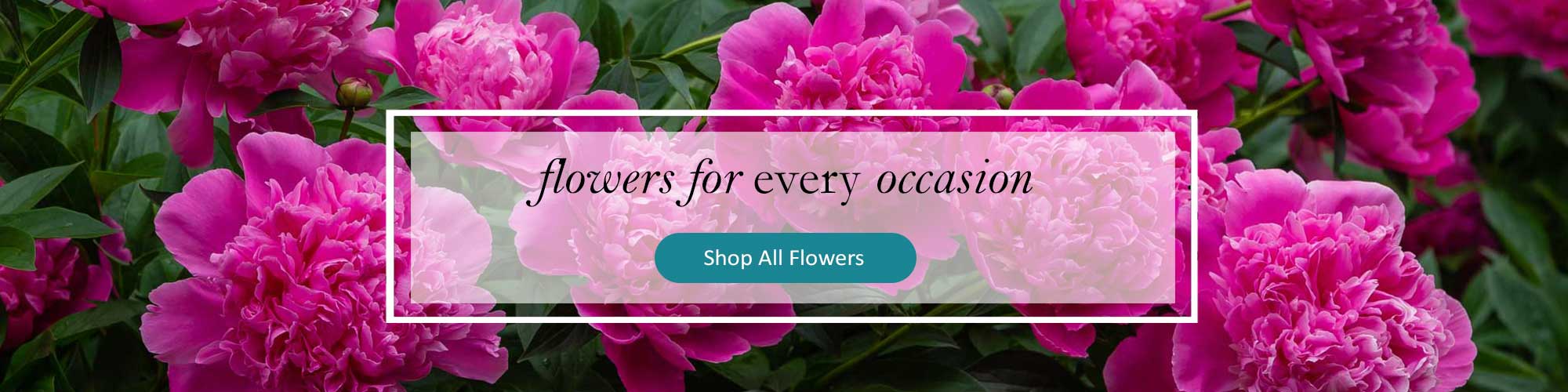 In Bloom Flowers, Same-Day Flower Delivery